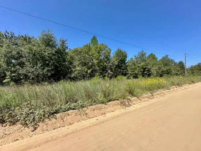 $49,000 | Lot 11 Marie Vann Road, Waynesboro, GA 30830