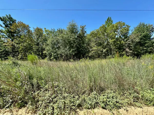 $49,000 | Lot 11 Marie Vann Road, Waynesboro, GA 30830