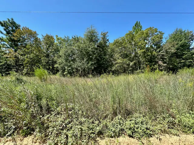 $49,000 | Lot 11 Marie Vann Road, Waynesboro, GA 30830