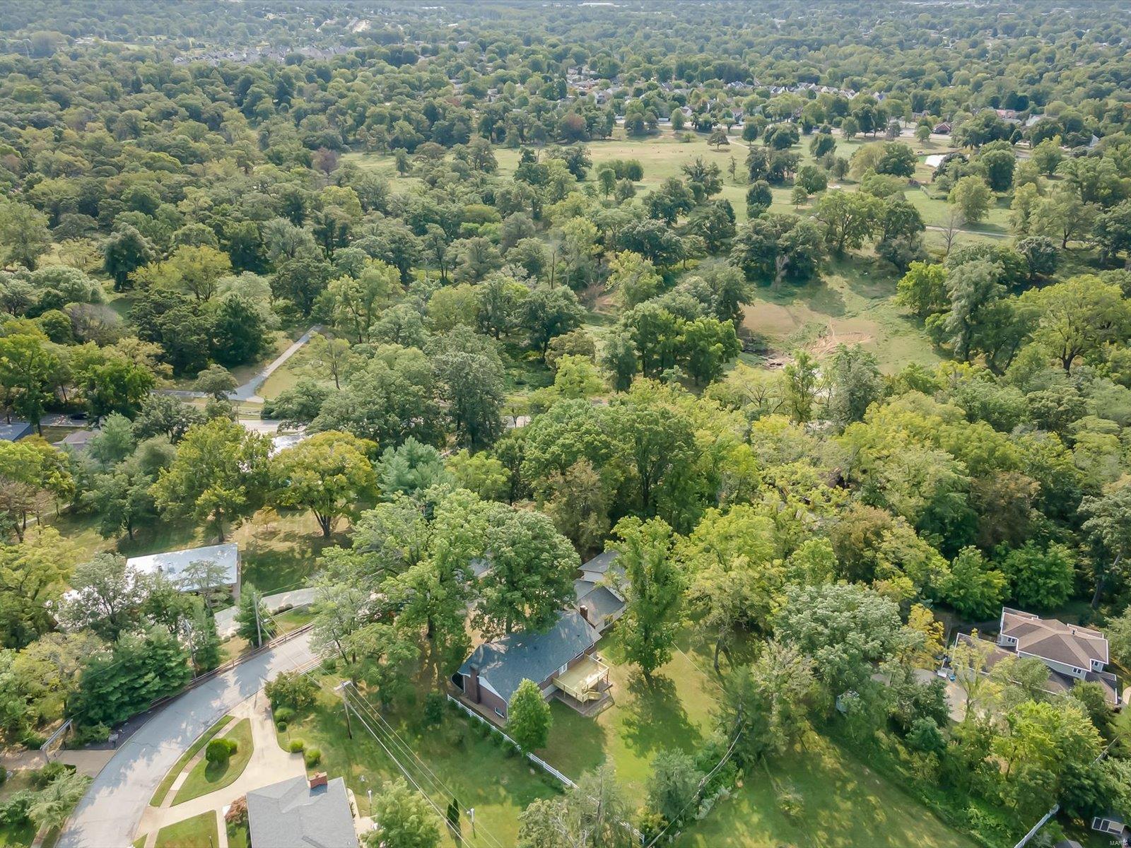 9122 Pardee Spur St. Louis, MO 63126 - Photo 5 of 44