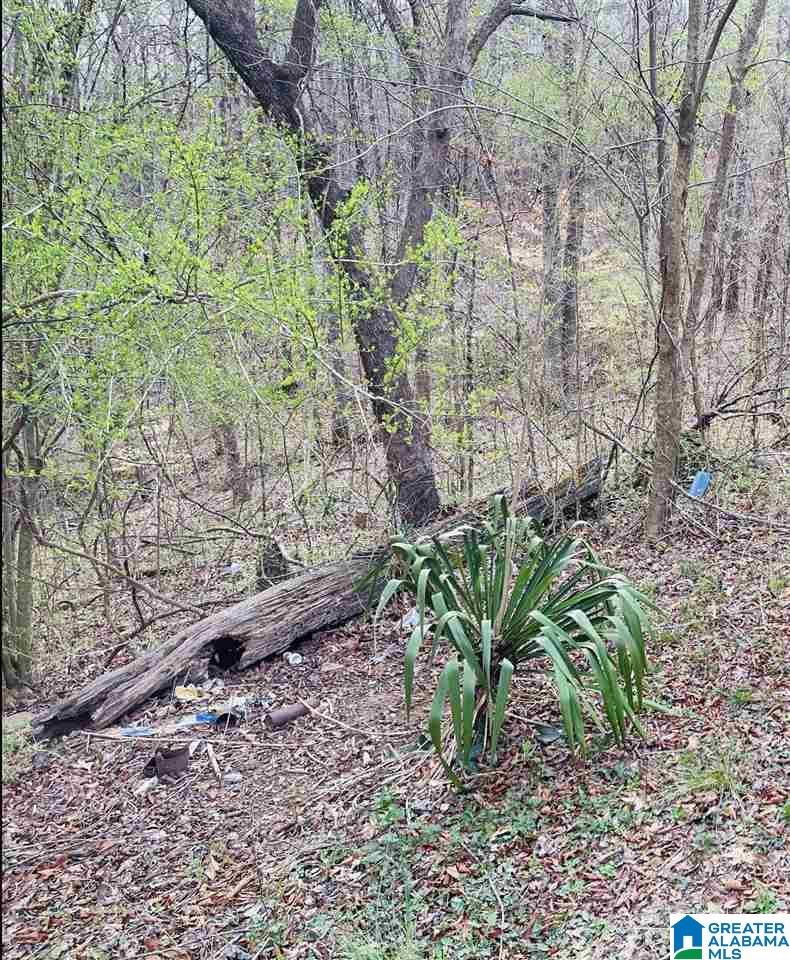 161 Boat Launch Road Quinton, AL 35130 - Photo 14 of 14