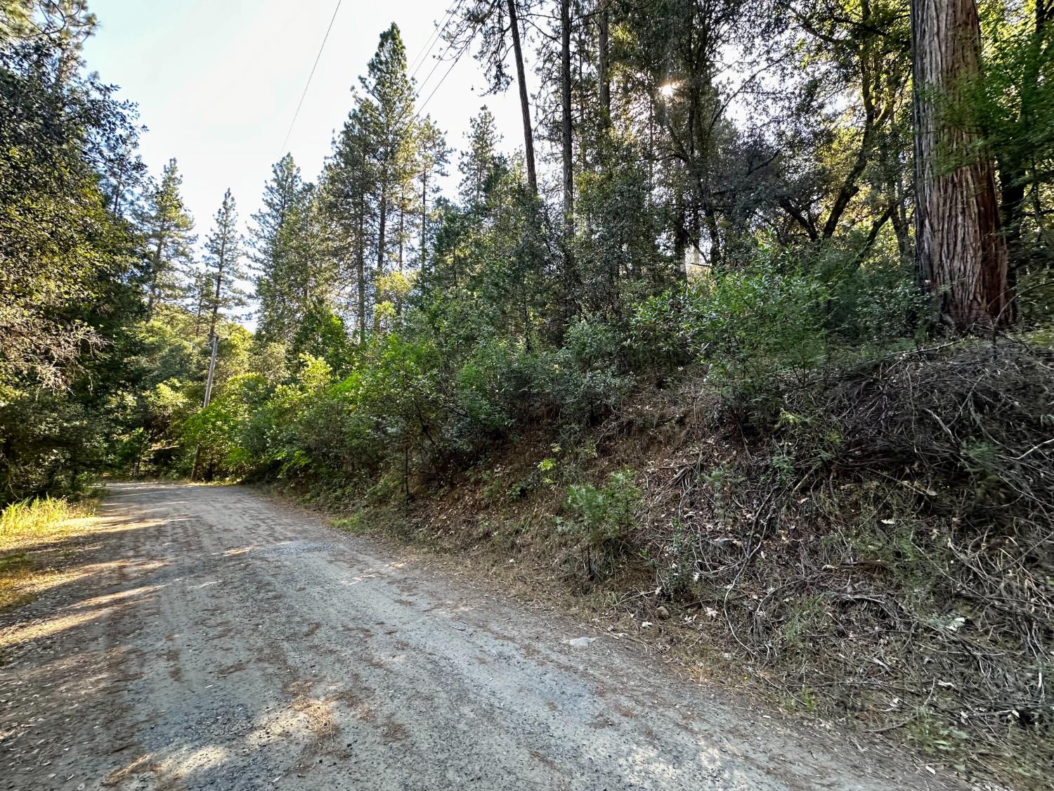 0 Dean Road Mount Aukum, CA 95656 - Photo 2 of 5