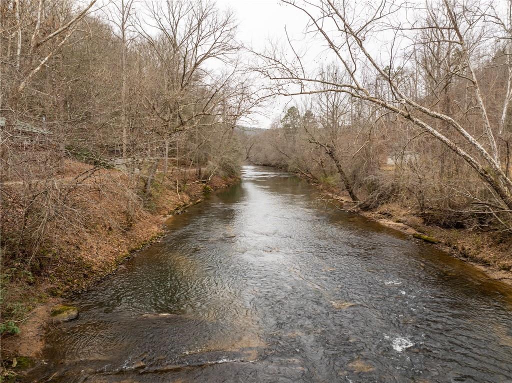 a view of a yard with large trees
