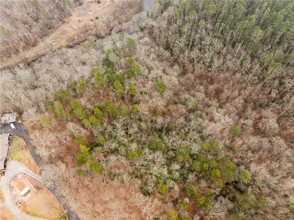 377 Soldiers Path Dahlonega, GA 30533 - Photo 16 of 25 a close up of a tree