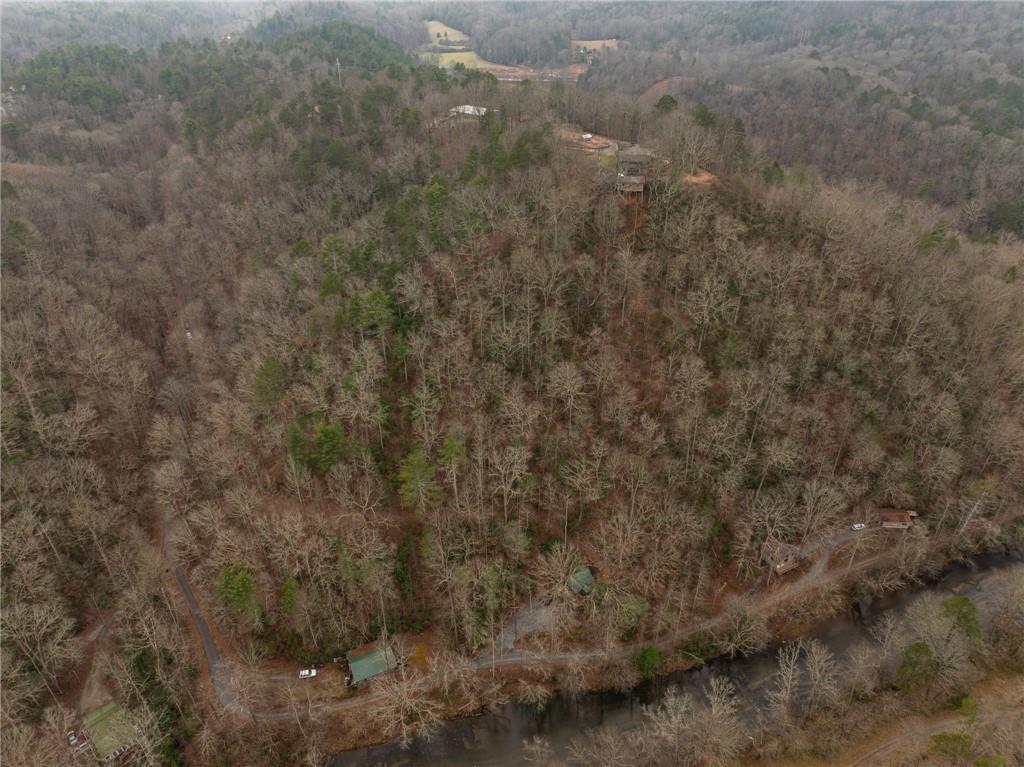 377 Soldiers Path Dahlonega, GA 30533 - Photo 19 of 25 a view of a covered with lots of trees