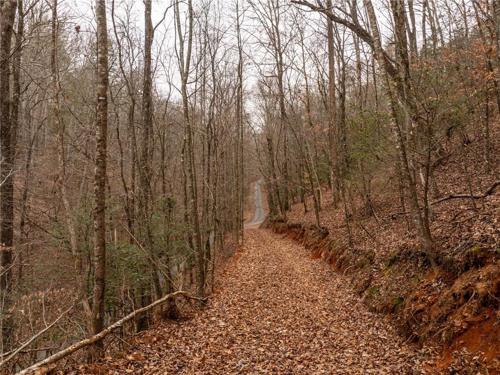 377 Soldiers Path Dahlonega, GA 30533 - Photo 2 of 25 a view of a yard with trees in front of it