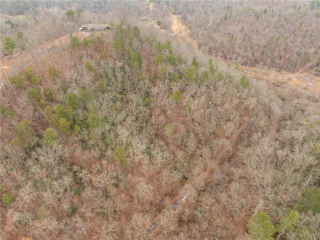 377 Soldiers Path Dahlonega, GA 30533 - Photo 23 of 25 a view of a dry yard