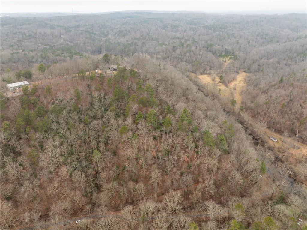 377 Soldiers Path Dahlonega, GA 30533 - Photo 24 of 25 a view of a dry yard