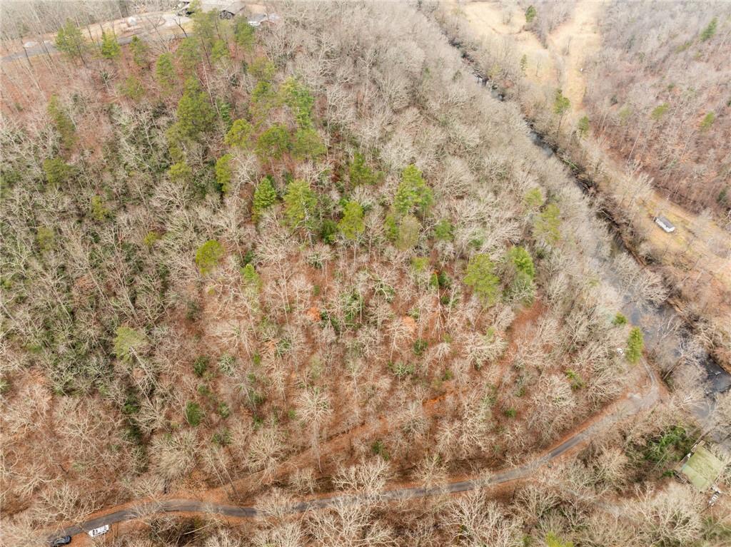 377 Soldiers Path Dahlonega, GA 30533 - Photo 25 of 25