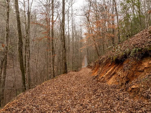 a view of a backyard of the house
