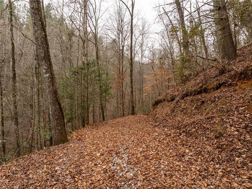 377 Soldiers Path Dahlonega, GA 30533 - Photo 4 of 25 a view of a yard with trees