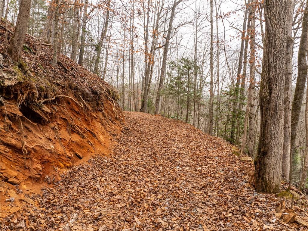 377 Soldiers Path Dahlonega, GA 30533 - Photo 5 of 25 a view of a yard with large trees
