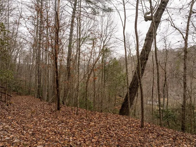 a view of a yard with trees