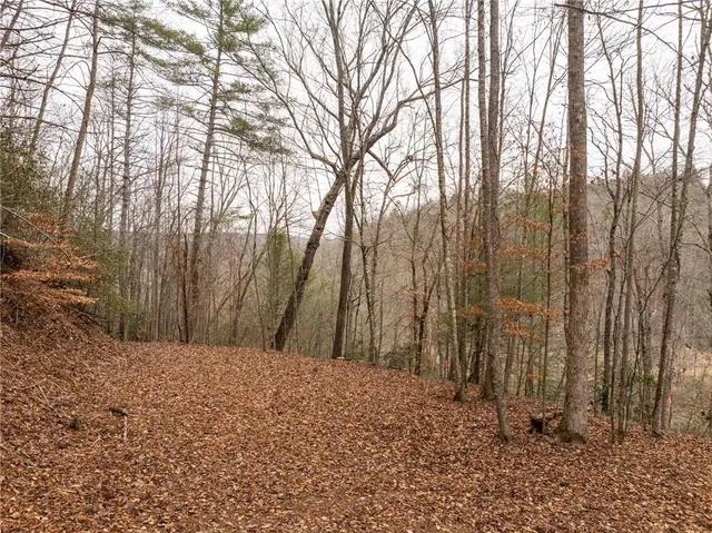 a view of backyard with tree