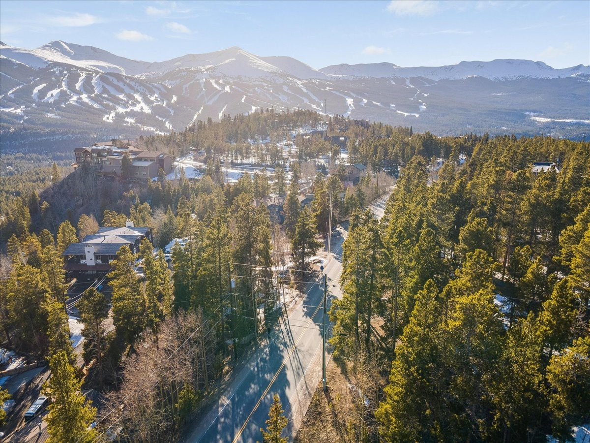 1981 Boreas Pass Road Breckenridge, CO 80424 - Photo 34 of 50
