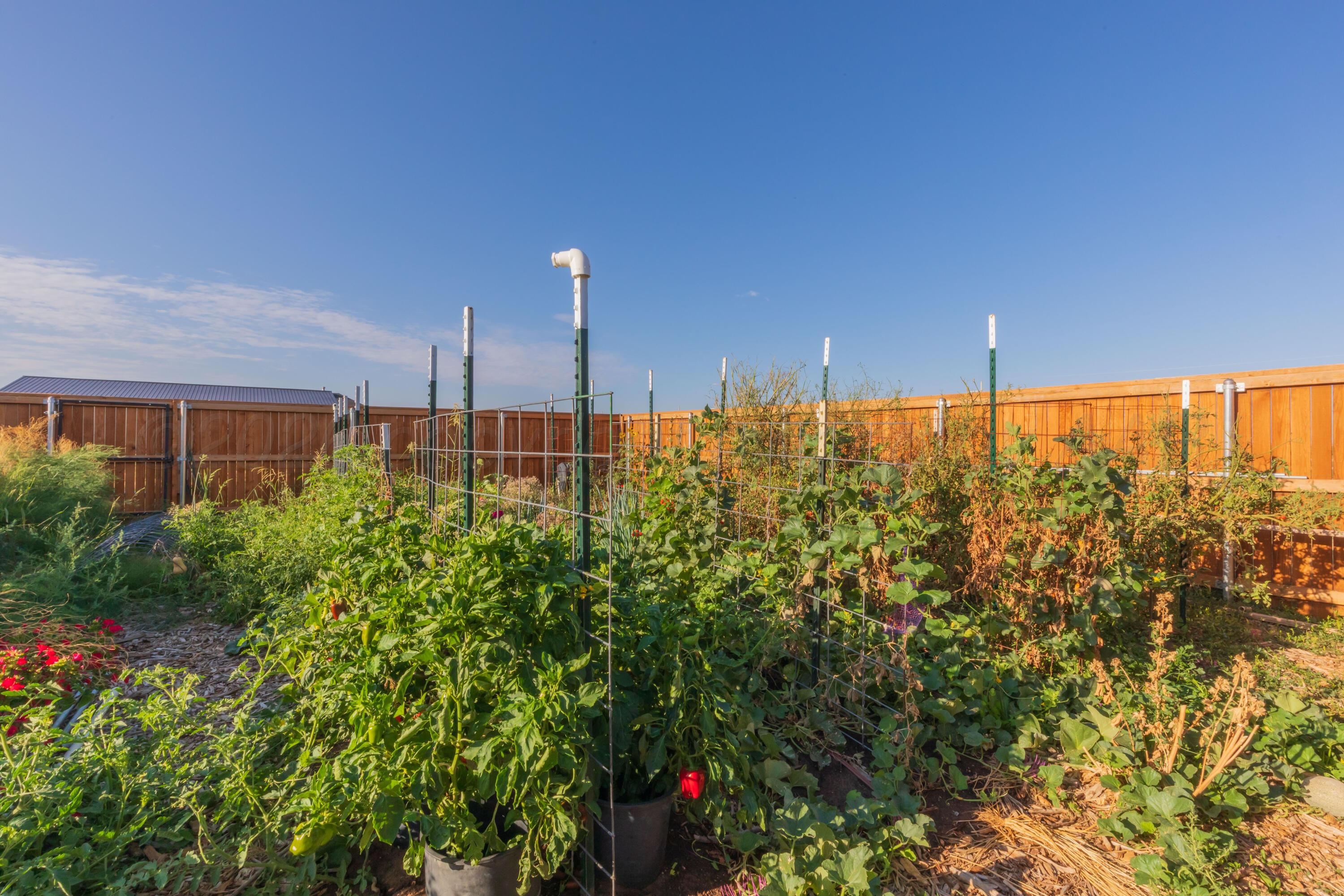19151 Pine Springs Road Amarillo, TX 79119 - Photo 48 of 52 Garden