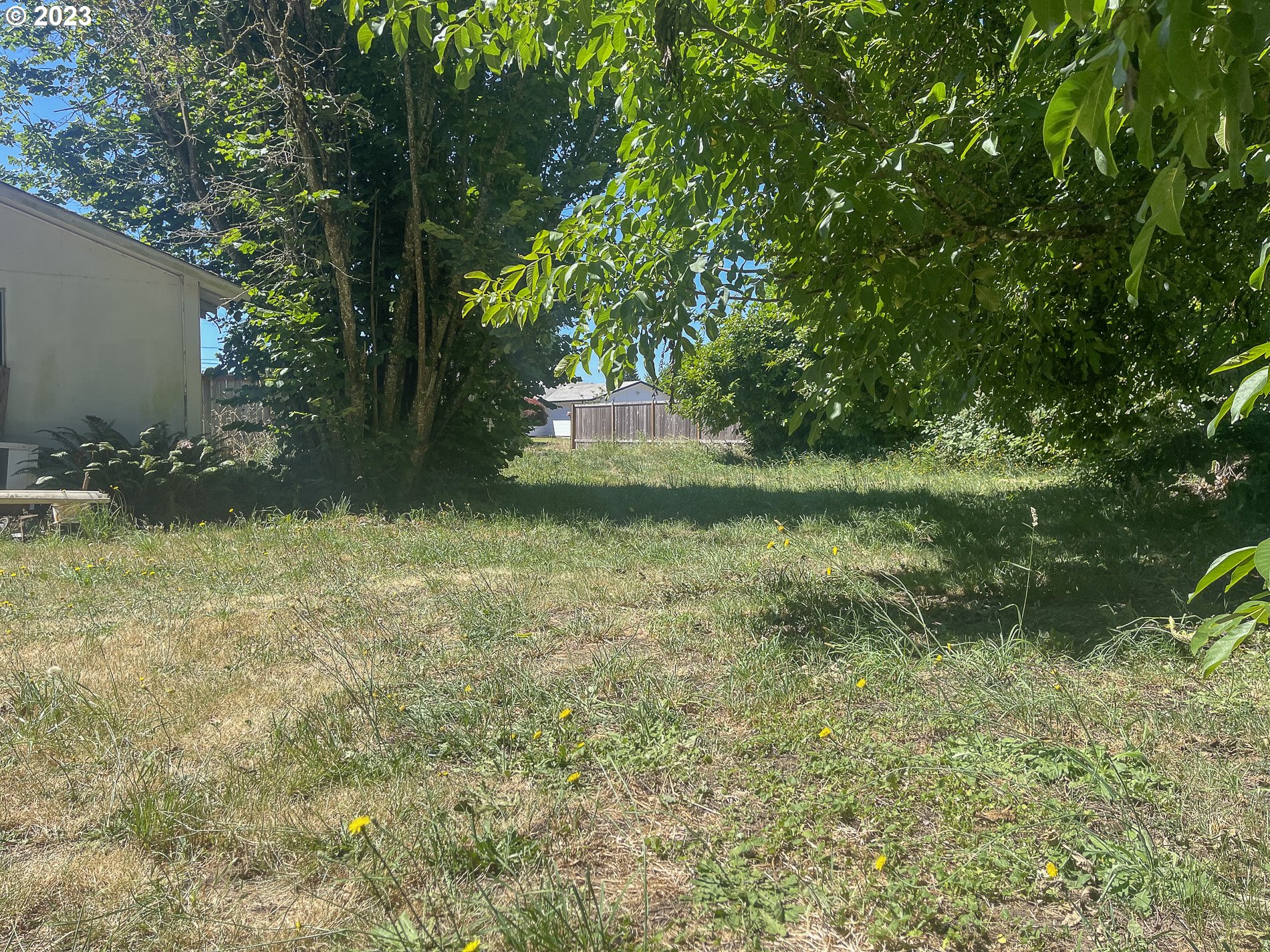 367 Hayden Bridge Way Springfield, OR 97477 - Photo 12 of 16 a view of a garden with a tree
