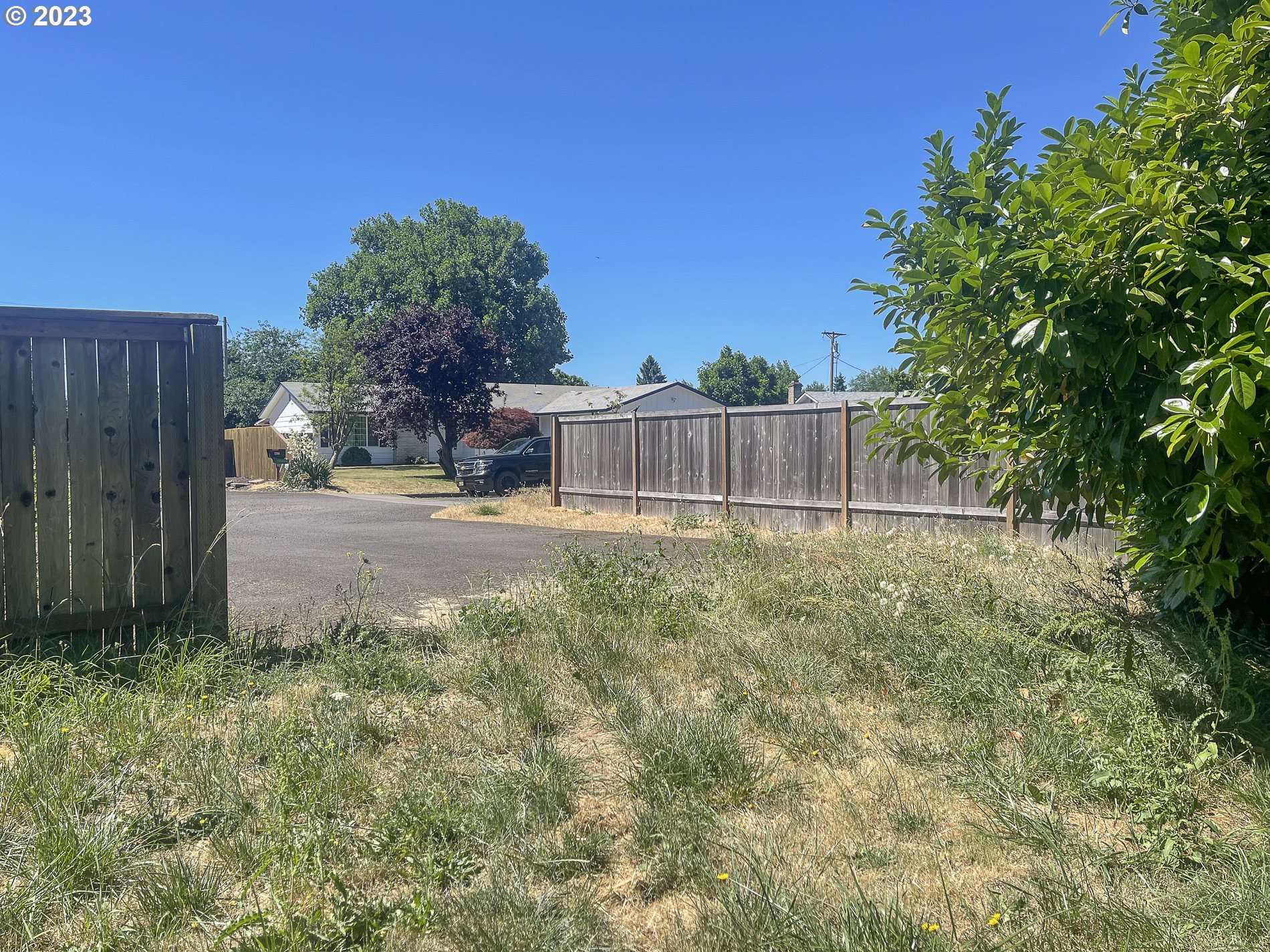 367 Hayden Bridge Way Springfield, OR 97477 - Photo 16 of 16 a view of a backyard with a large tree and wooden fence
