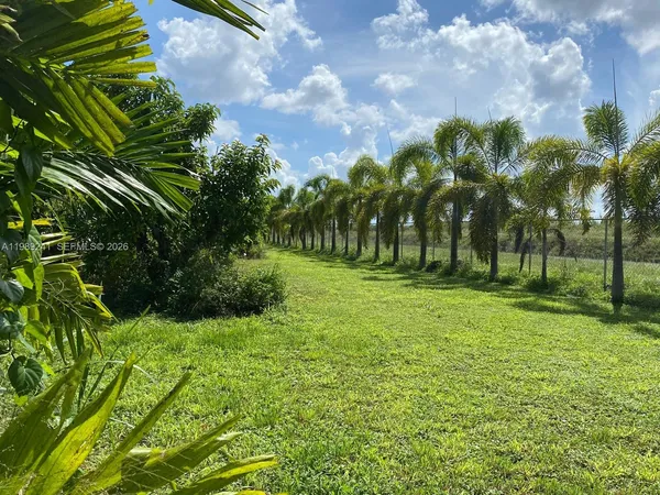 a view of a grassy field with trees