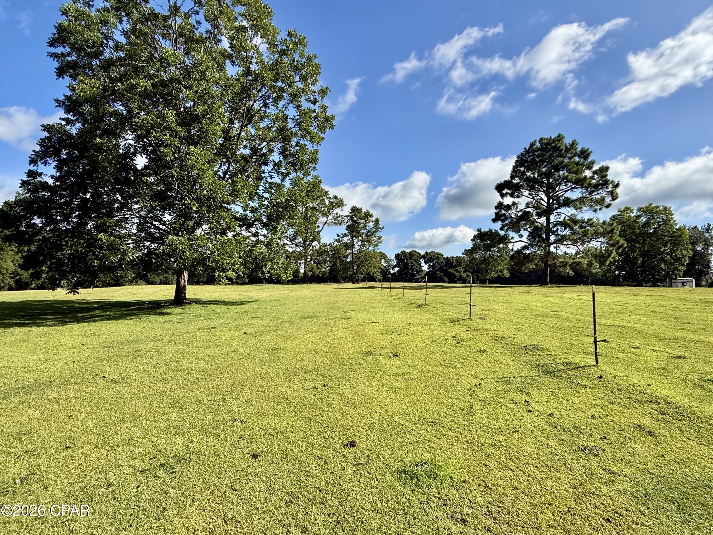 1036 Broom Road Bonifay, FL 32425 - Photo 7 of 45