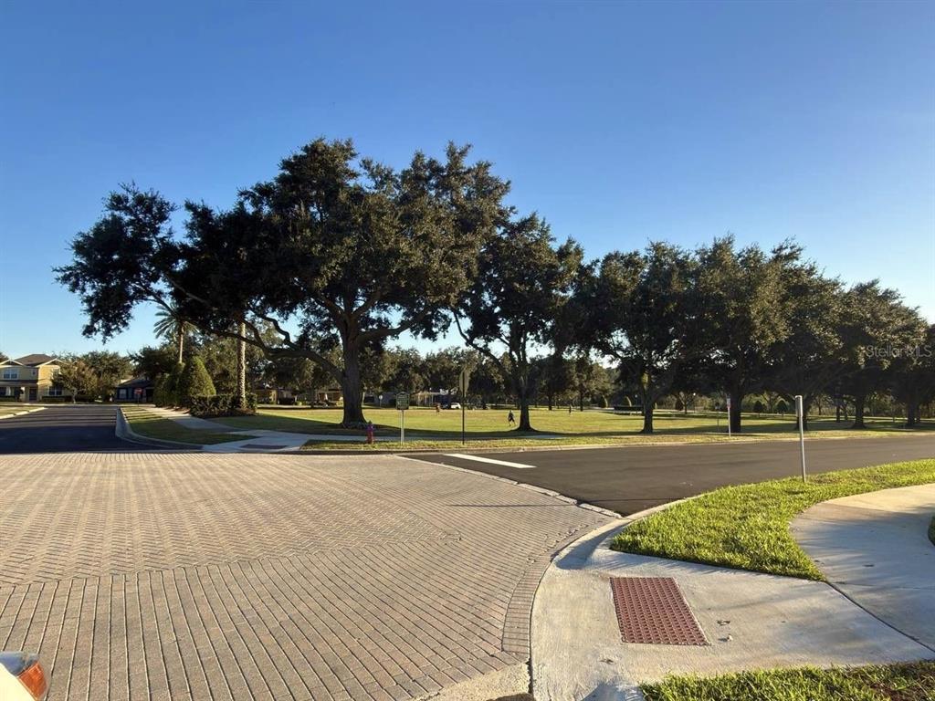 1277 Seburn Road Apopka, FL 32703 - Photo 26 of 28 a view of an outdoor space and swimming pool