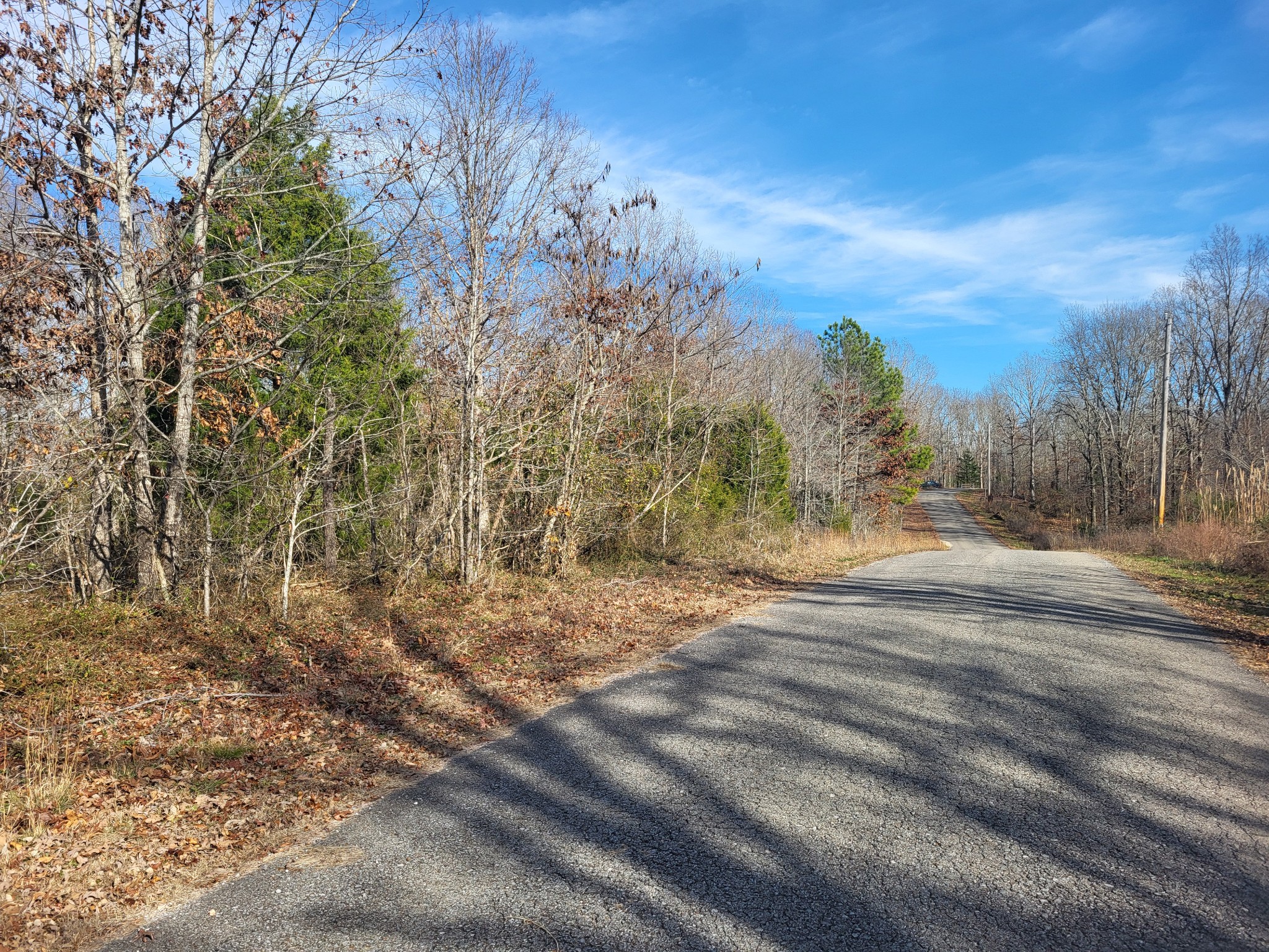1 Cyclone Lane Waverly, TN 37185 - Photo 11 of 11 a view of a yard with mountain view