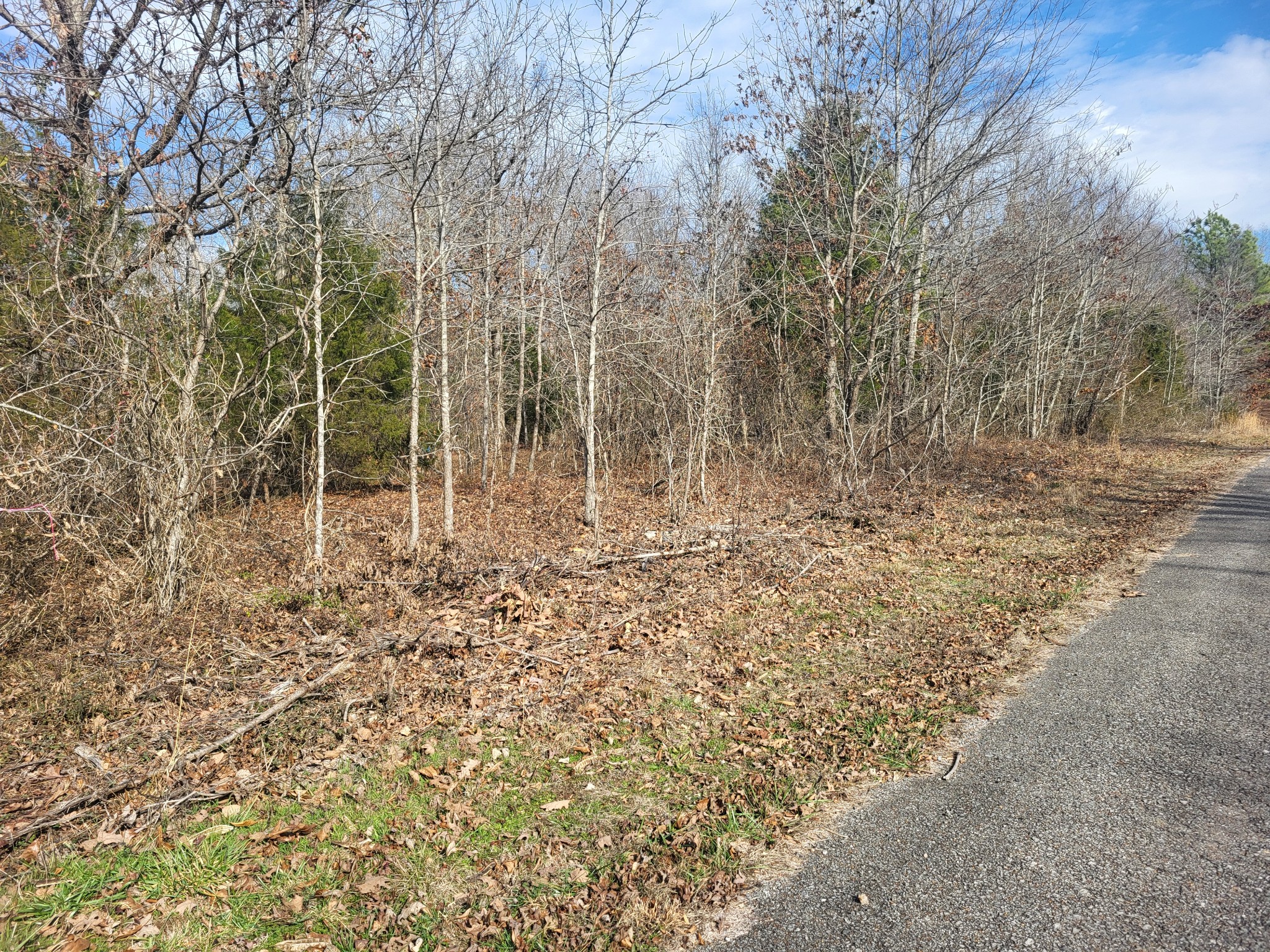 1 Cyclone Lane Waverly, TN 37185 - Photo 4 of 11 a view of a yard with trees