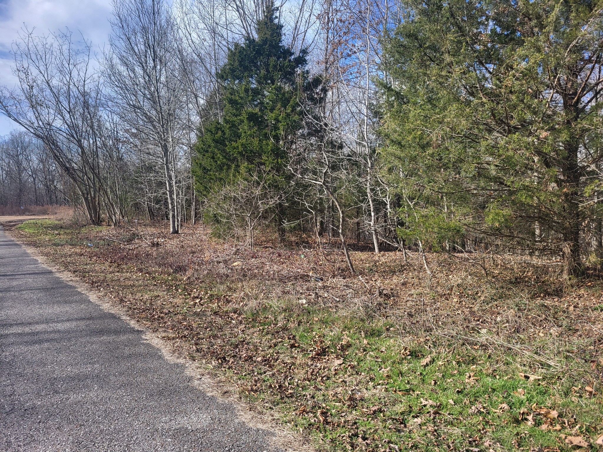 1 Cyclone Lane Waverly, TN 37185 - Photo 6 of 11 a view of a forest with trees in the background