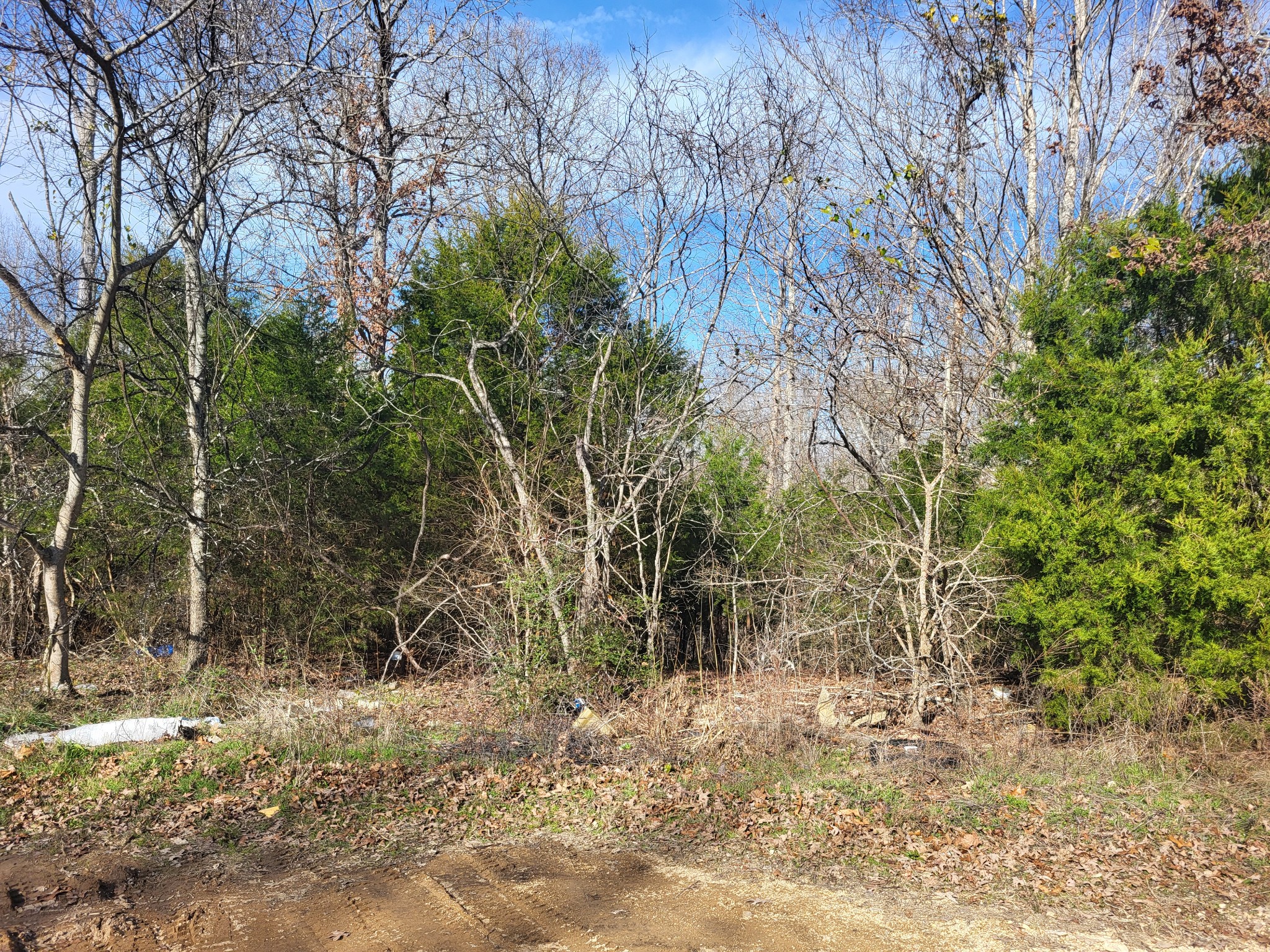 1 Cyclone Lane Waverly, TN 37185 - Photo 9 of 11 a view of a yard with plants and trees
