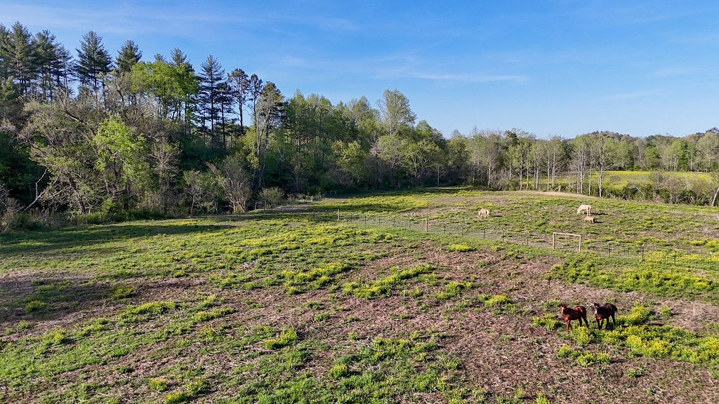 3872 Nc Highway Murphy, NC 28906 - Photo 13 of 19