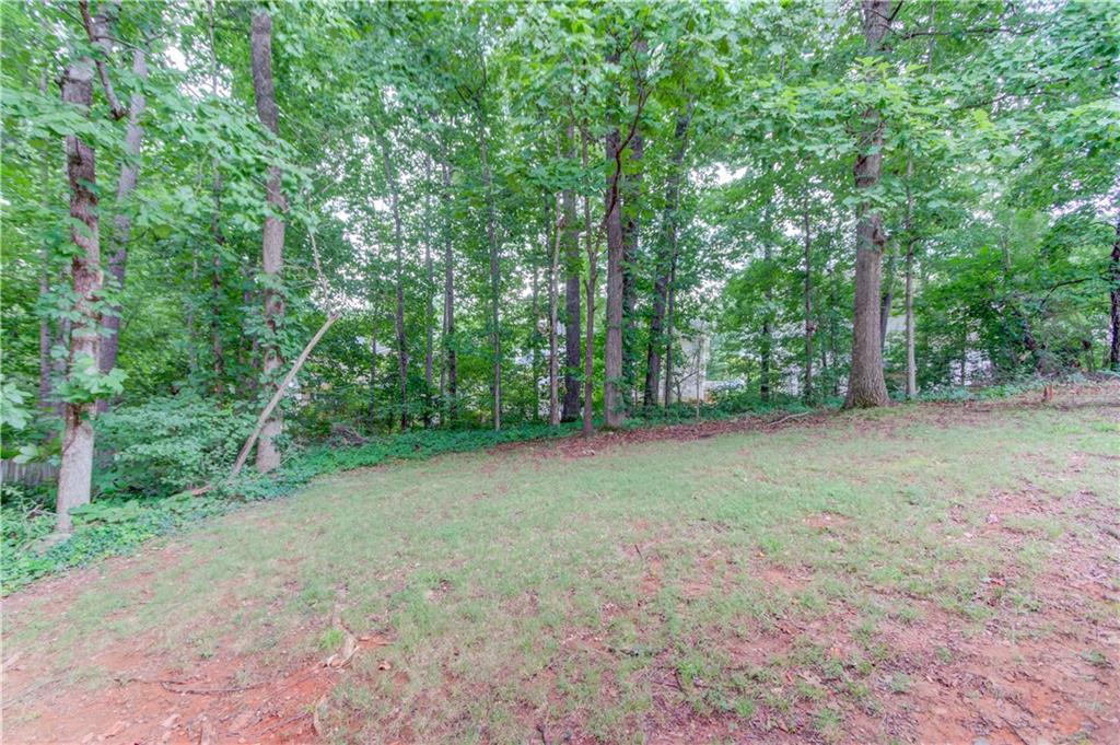 1446 Chadwick Ridge Court Lawrenceville, GA 30043 - Photo 47 of 54 a view of a large yard with lots of trees