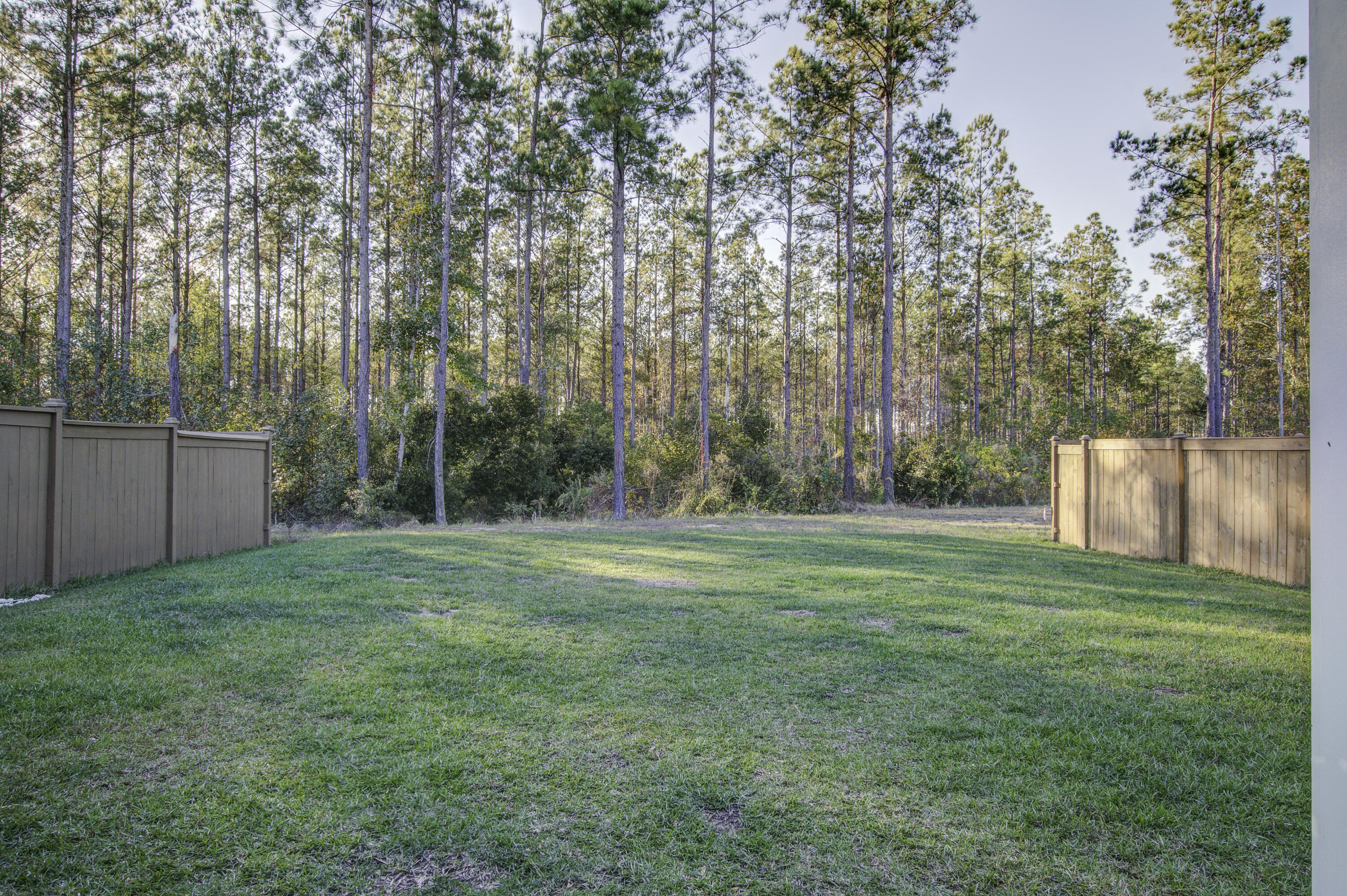 161 Paddle Boat Way Summerville, SC 29485 - Photo 26 of 27 161 (30)