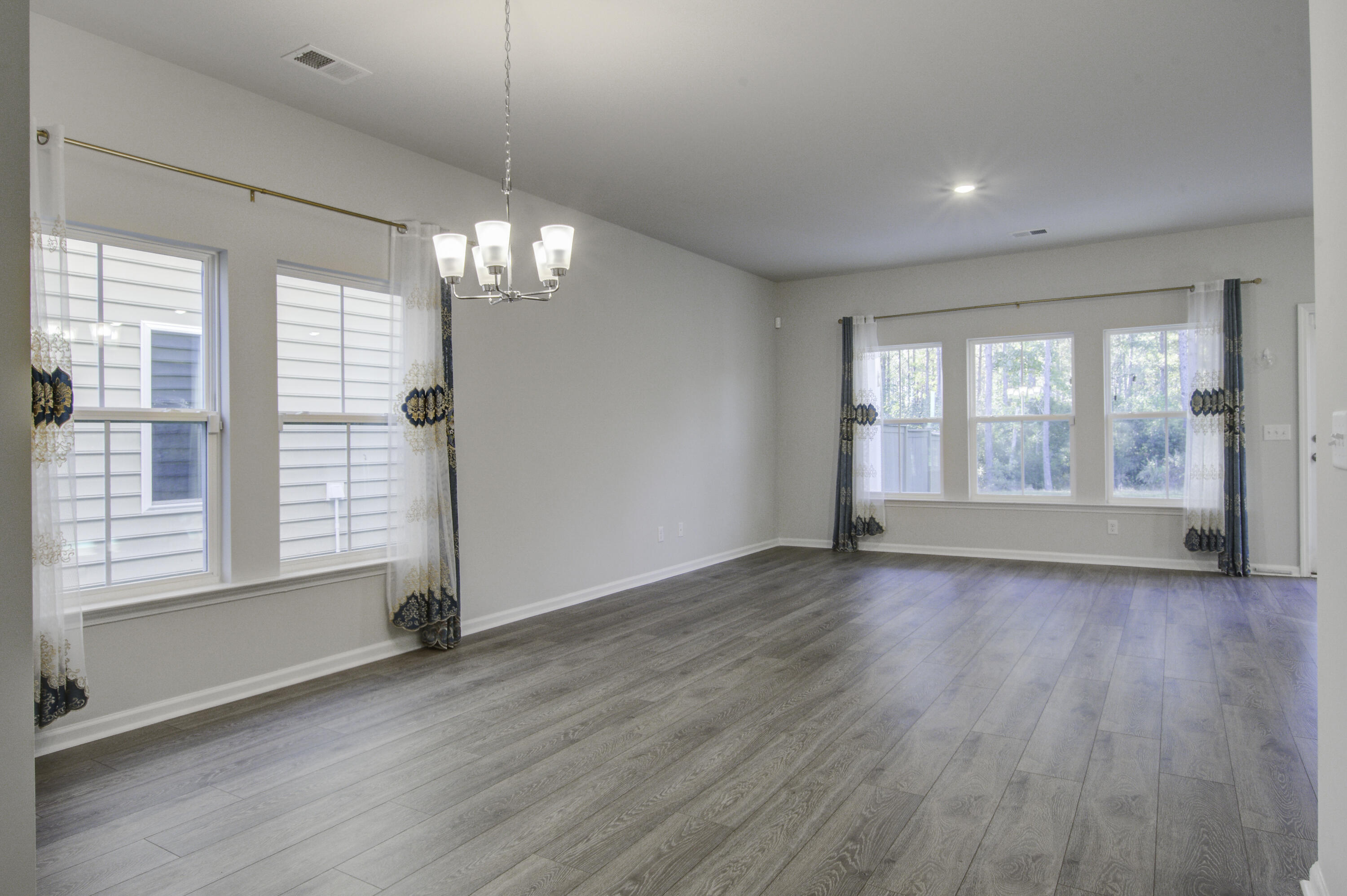 161 Paddle Boat Way Summerville, SC 29485 - Photo 3 of 27 161 (4)