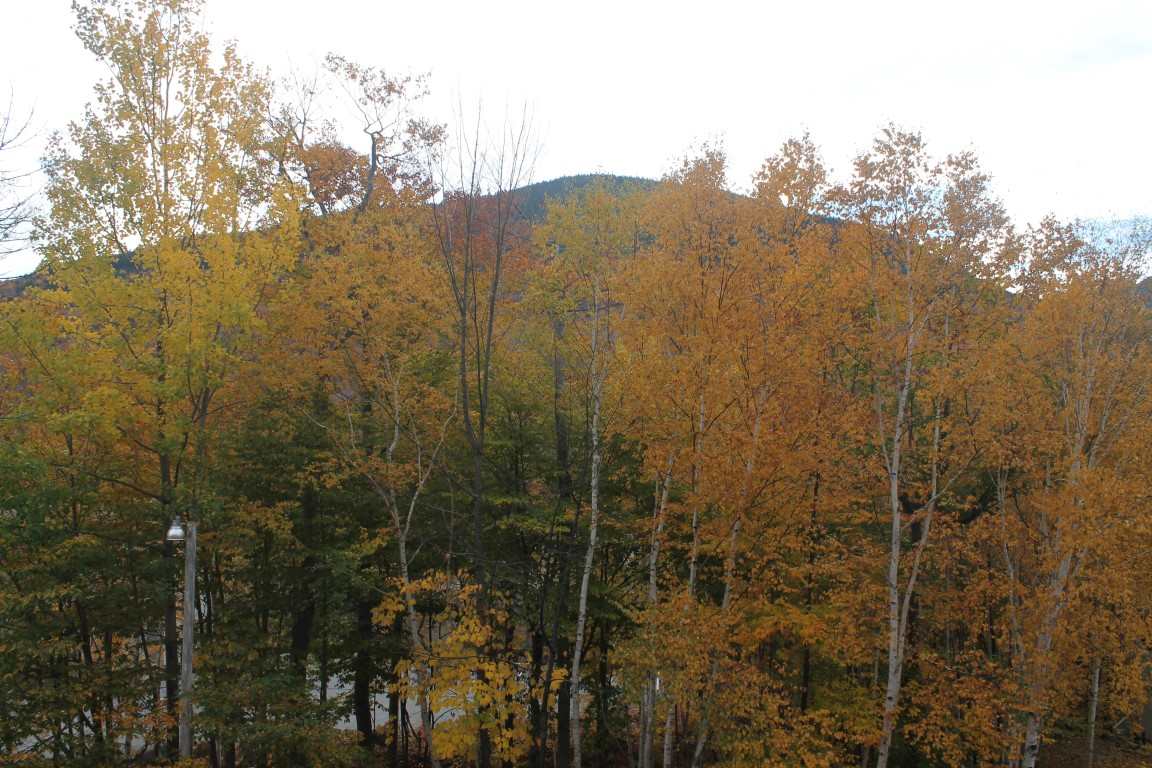 63-1 Easterly Road Lincoln, NH 03251 - Photo 29 of 35