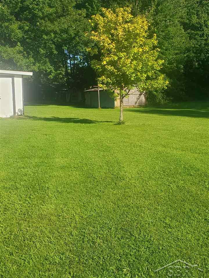 11134 East Birch Run Road Birch Run, MI 48415 - Photo 3 of 13