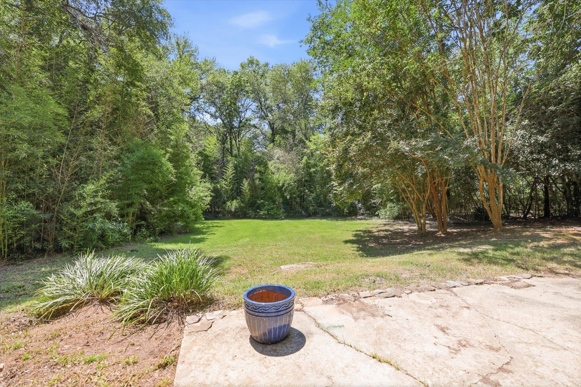 14261 Buckhorn Road Tallahassee, FL 32312 - Photo 50 of 69