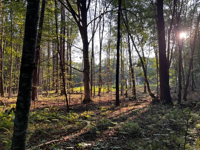 $475,000 | 0 Goodwin Road, Eliot, ME 03903