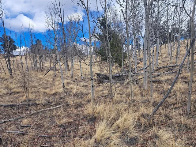 $49,500 | 499 Kiowa Street, Como, CO 80456