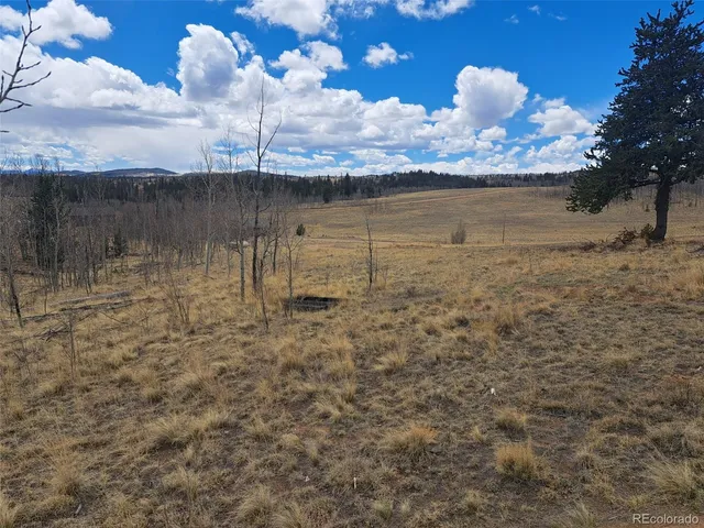 $49,500 | 499 Kiowa Street, Como, CO 80456