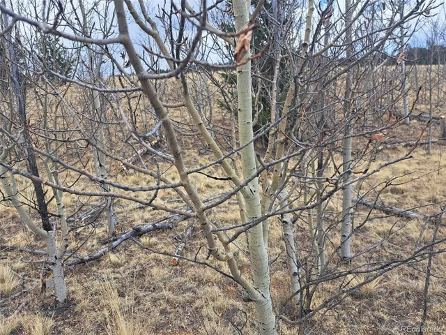 $49,500 | 499 Kiowa Street, Como, CO 80456