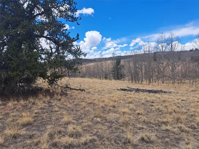 $49,500 | 499 Kiowa Street, Como, CO 80456