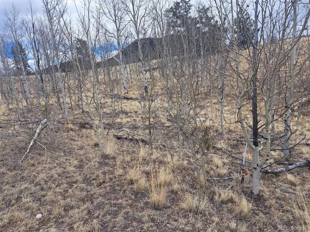 $49,500 | 499 Kiowa Street, Como, CO 80456