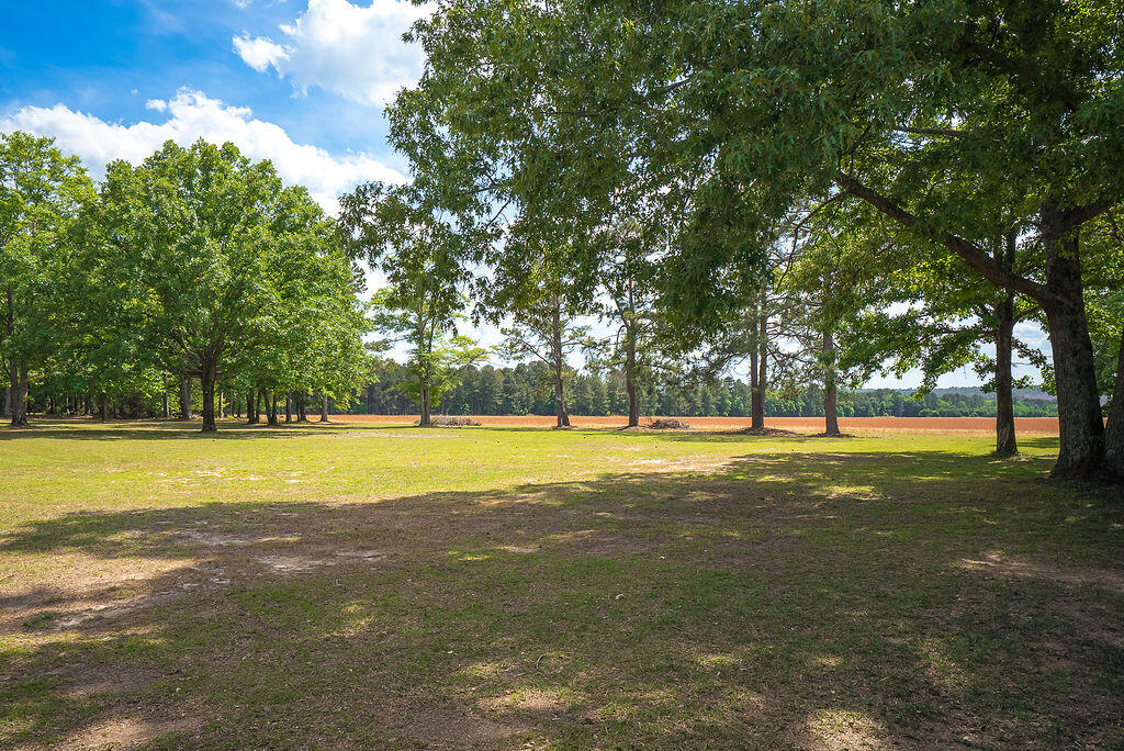 793 Flowing Well Road Wagener, SC 29164 - Photo 57 of 61