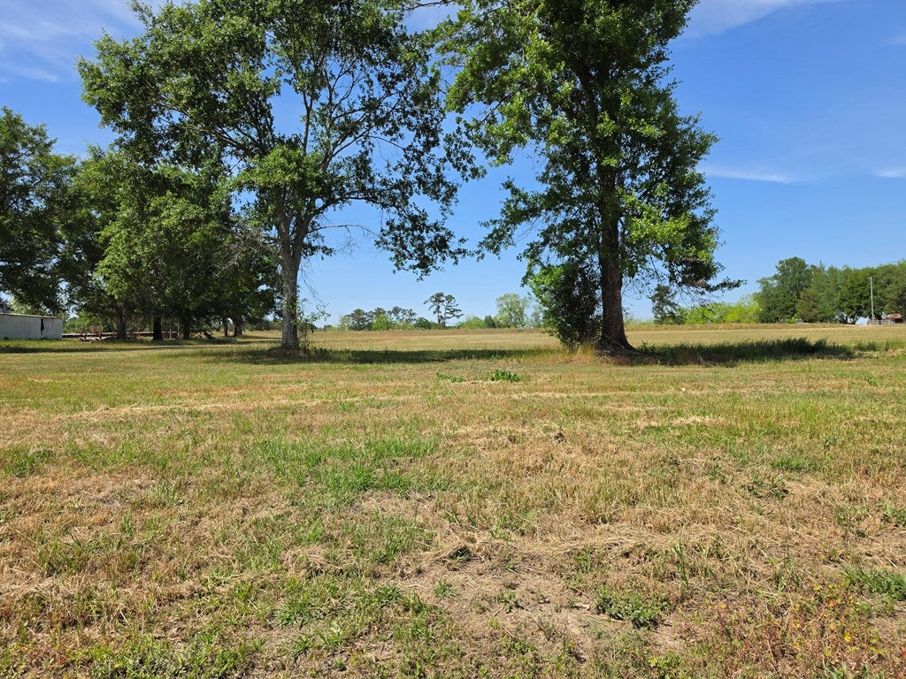 363 Strawder Road Ray City, GA 31645 - Photo 12 of 13 Gallery Image 12