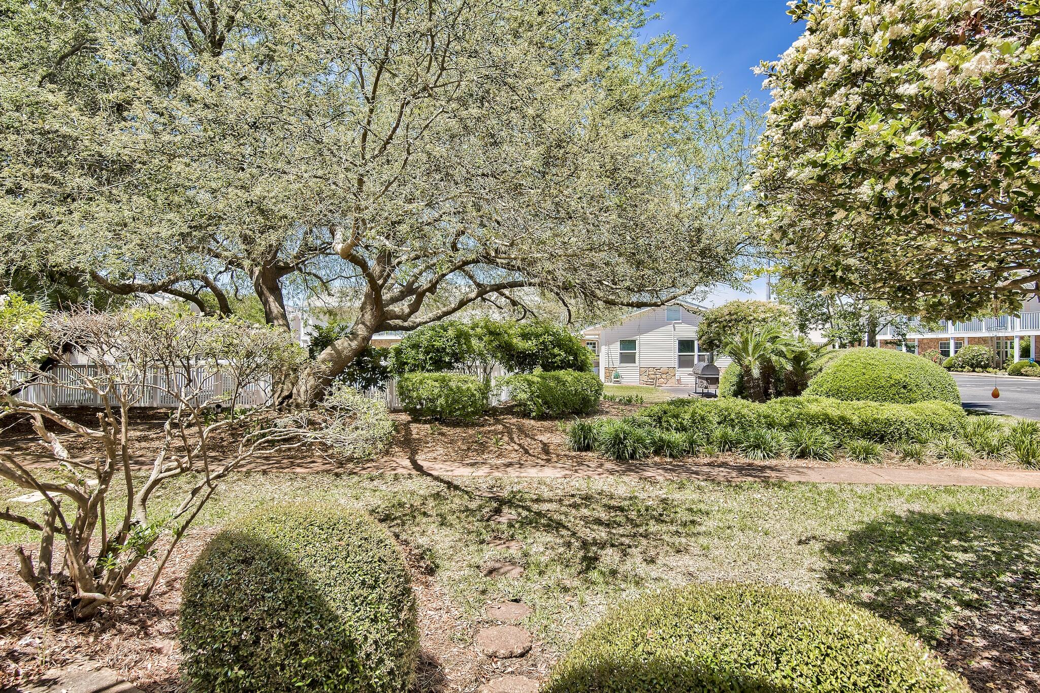 241 Ellis Road, Unit 2 Miramar Beach, FL 32550 - Photo 5 of 17 a view of a yard with plants and large trees