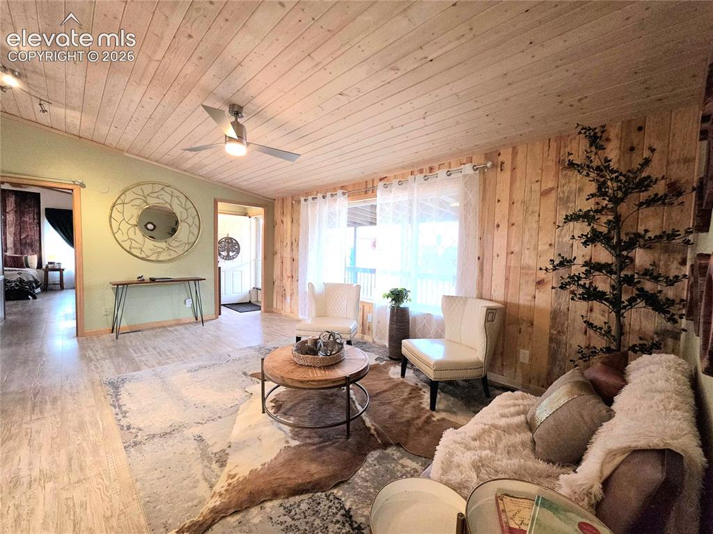 891 North Mountain Estates Road Florissant, CO 80816 - Photo 10 of 49