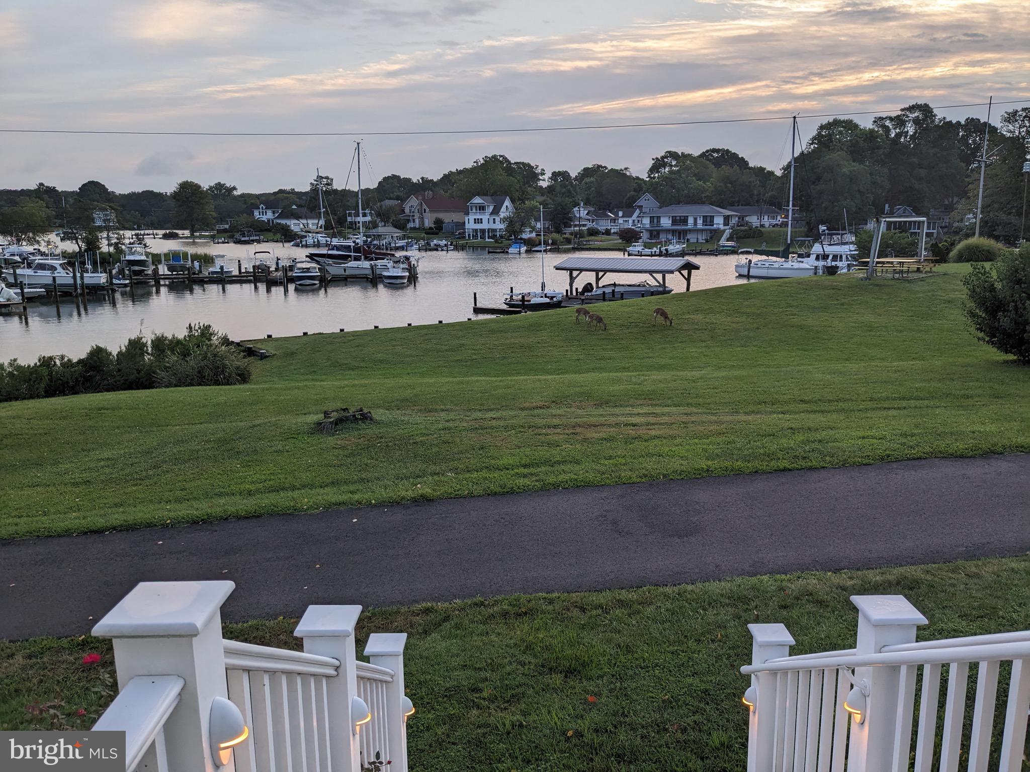 1663 Cliff Drive Edgewater, MD 21037 - Photo 40 of 53 Calm Boat Club harbor and deer, from front porch.