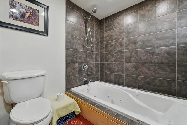 a bathroom with a toilet and a bathtub