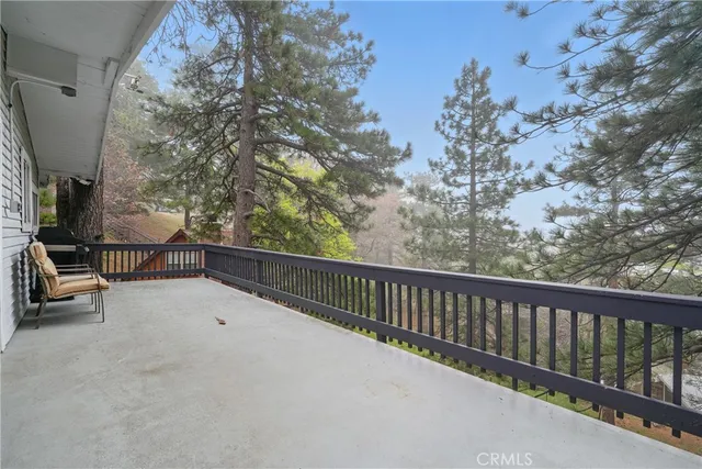 a yard with tall trees