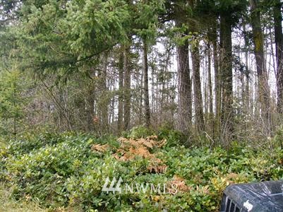 -xx Old Gardiner Road Sequim, WA 98382 - Photo 1 of 1 Gallery Image 1